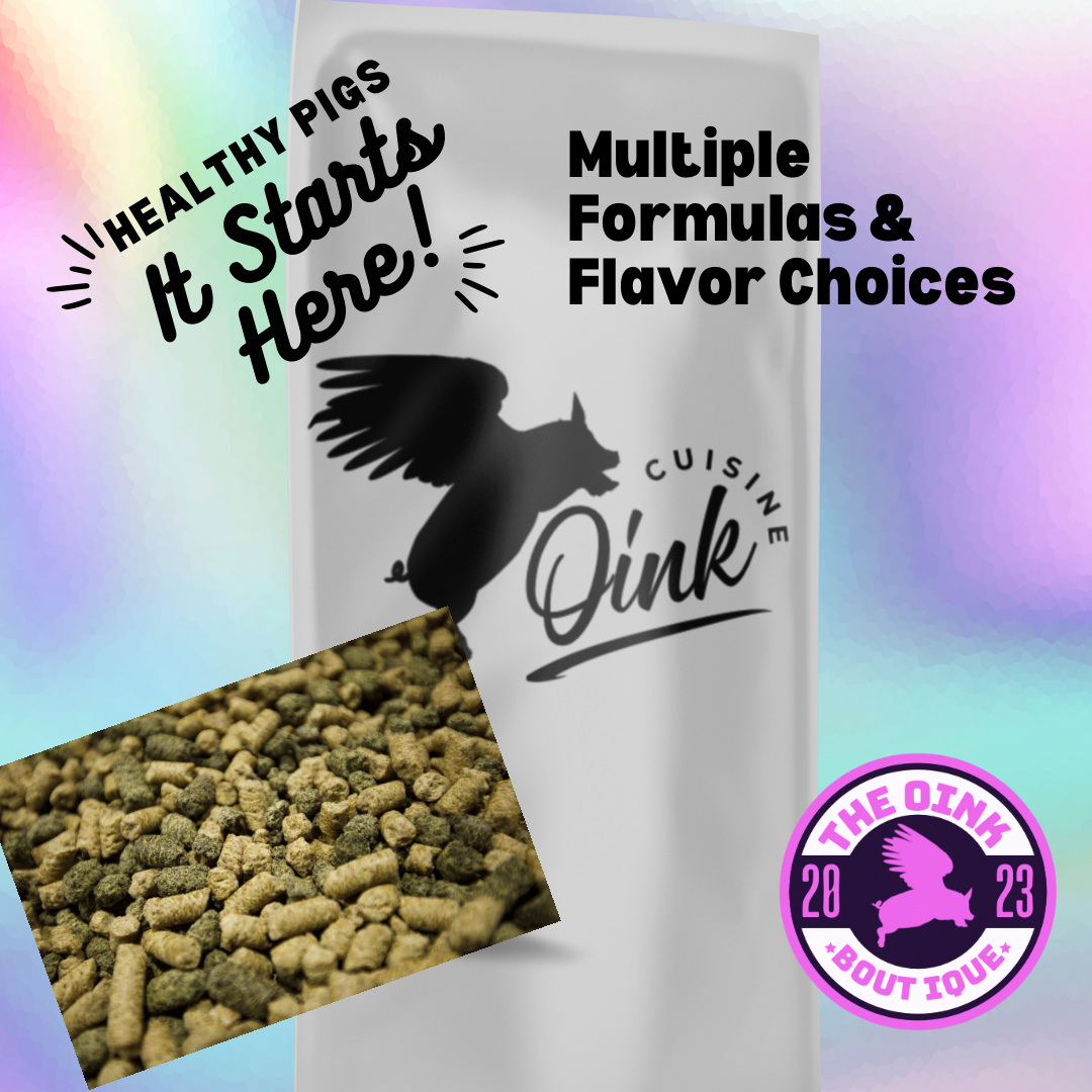 Oink Cuisine Meals on Wheels Bag