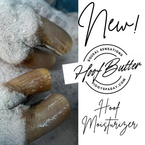 Squeal Sensations Hoof Butter