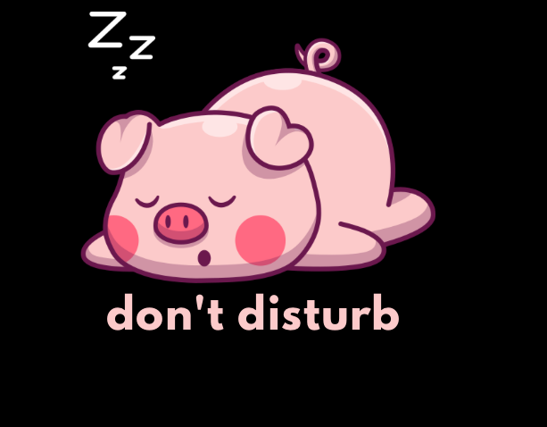 Don't Disturb Piggy T-shirt or Hoodie