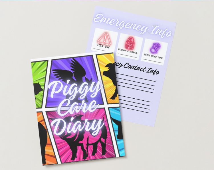 Piggy Care Diary