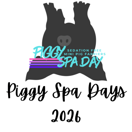 Piggy Spa Days 2026