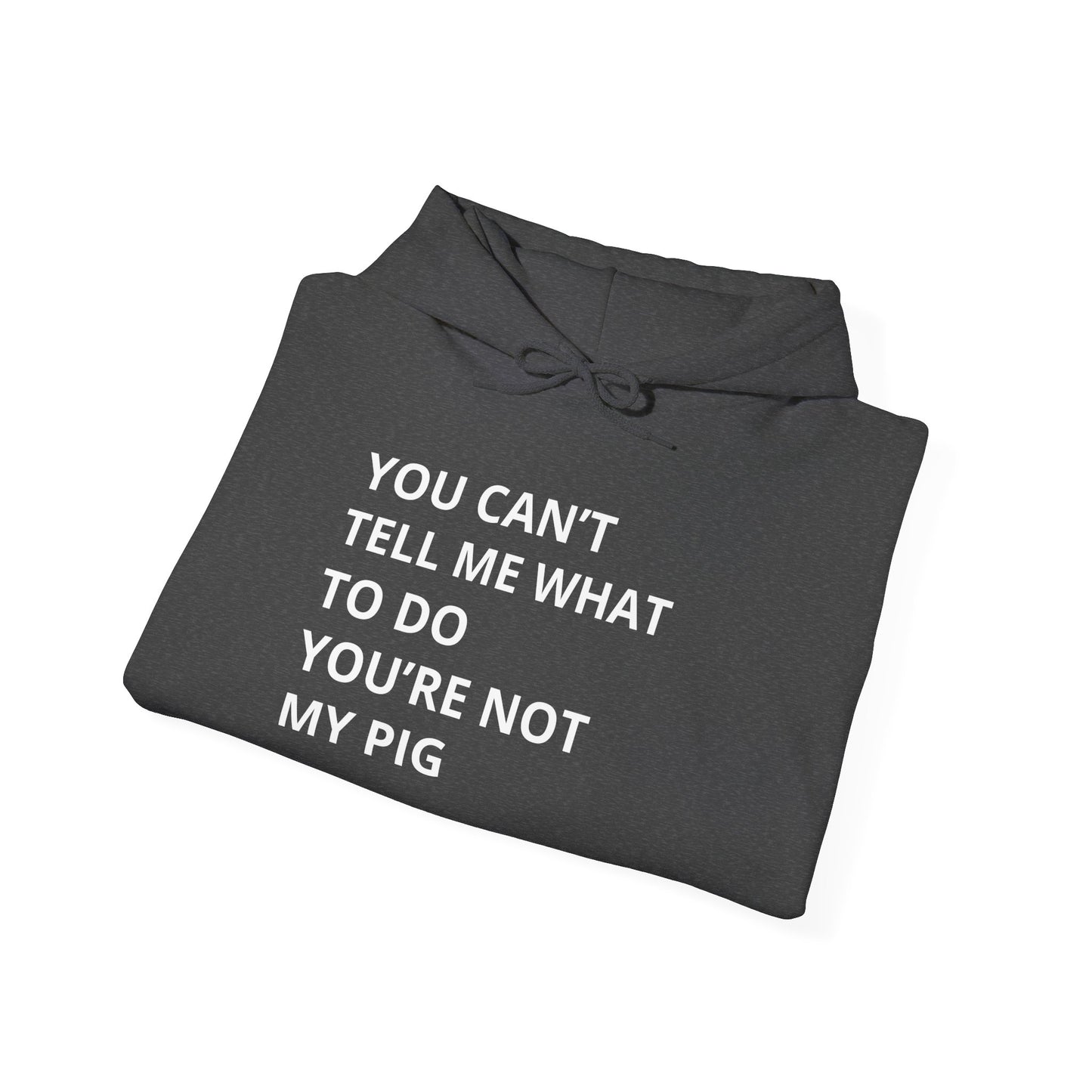 YOU CAN'T TELL ME WHAT TO DO HOODIE