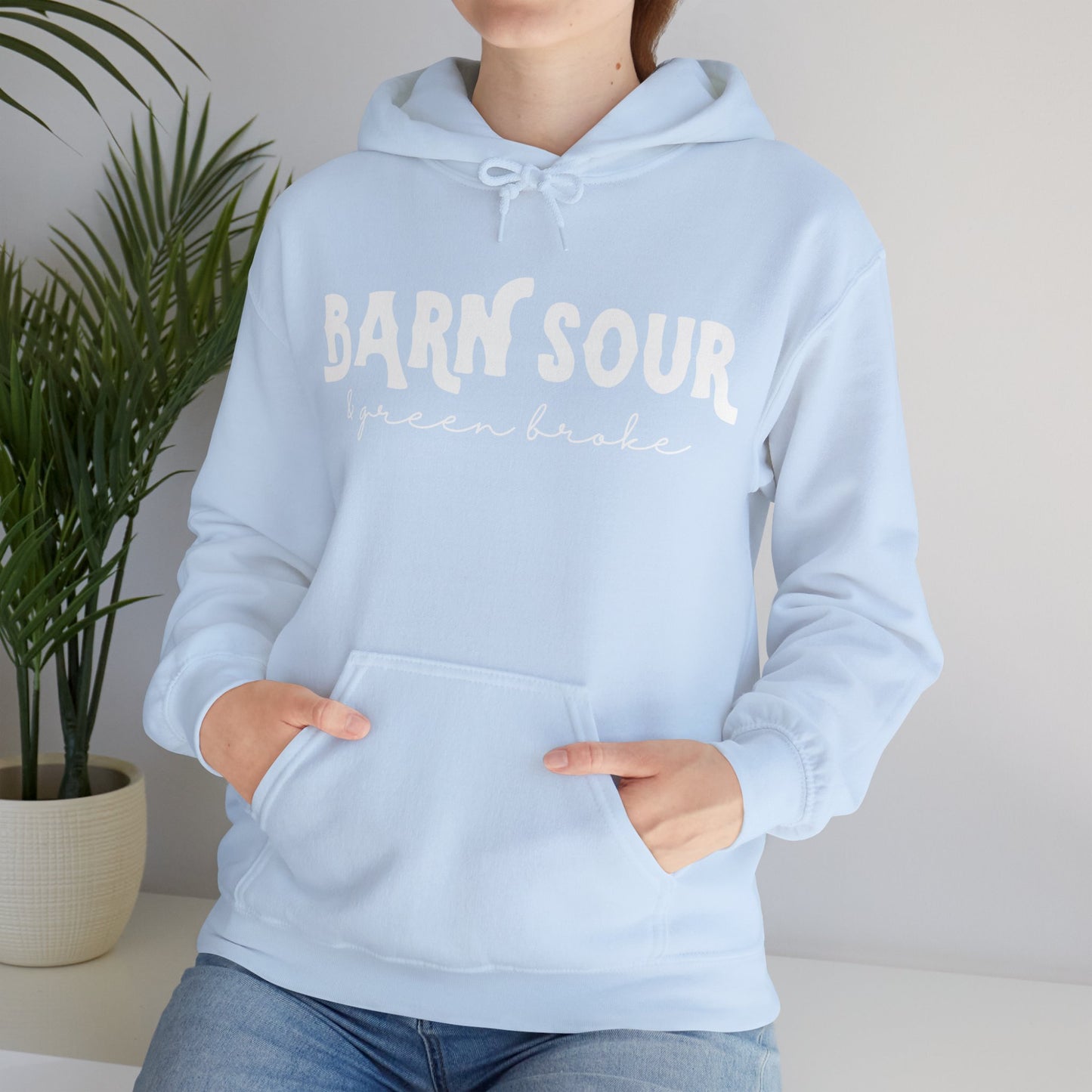 Barn Sour & Green Broke Hooded Sweatshirt