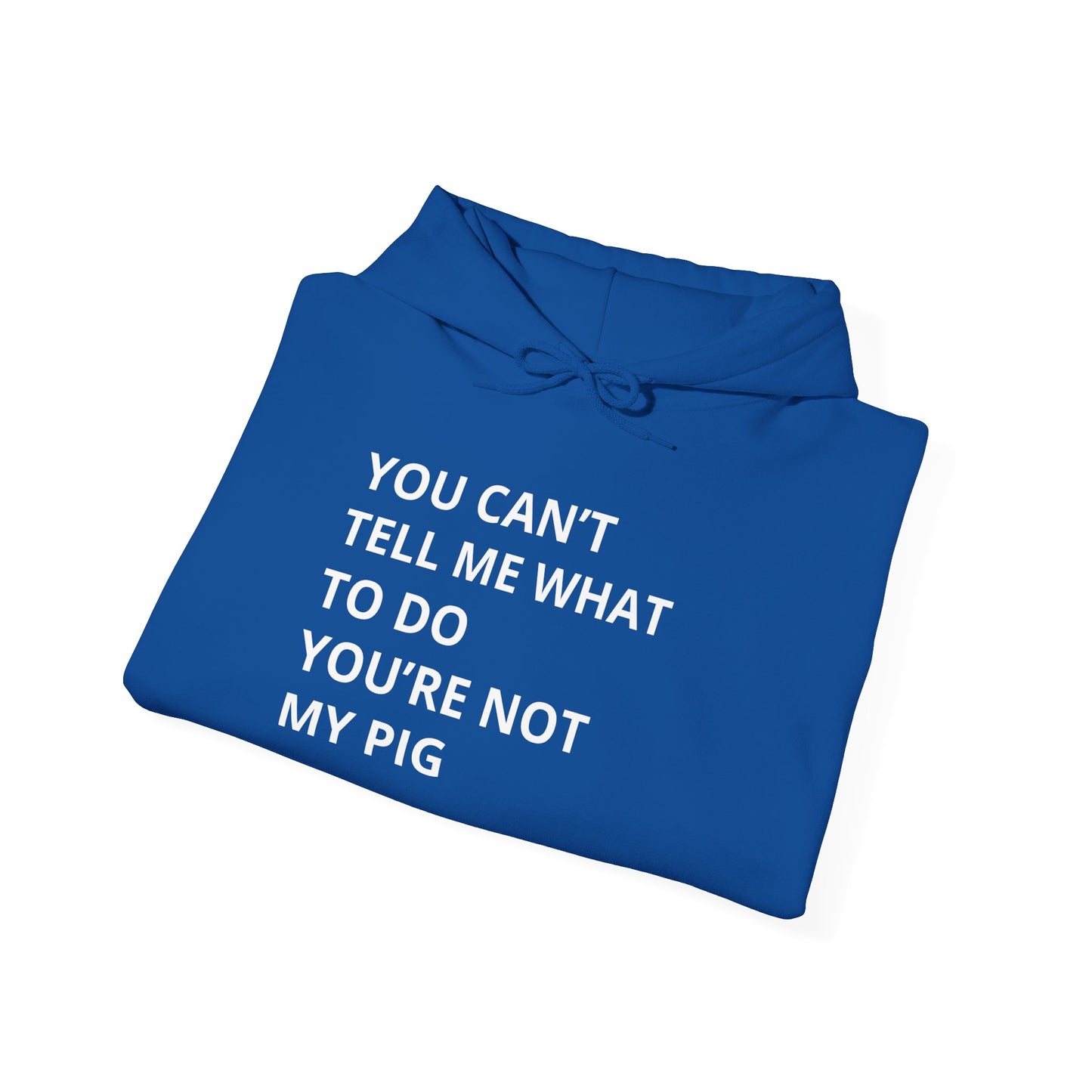 YOU CAN'T TELL ME WHAT TO DO HOODIE