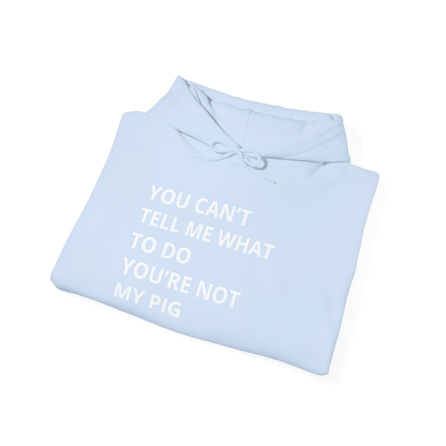 YOU CAN'T TELL ME WHAT TO DO HOODIE