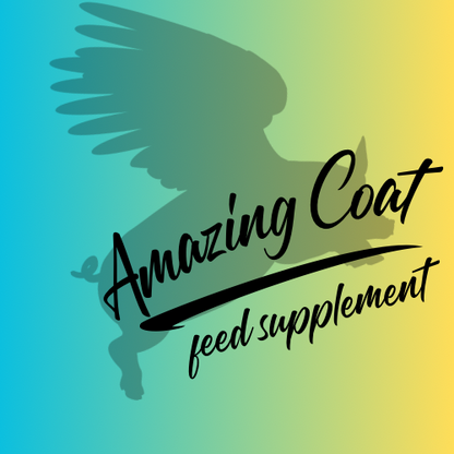 Oink cuisine: “amazing coat” feed supplement