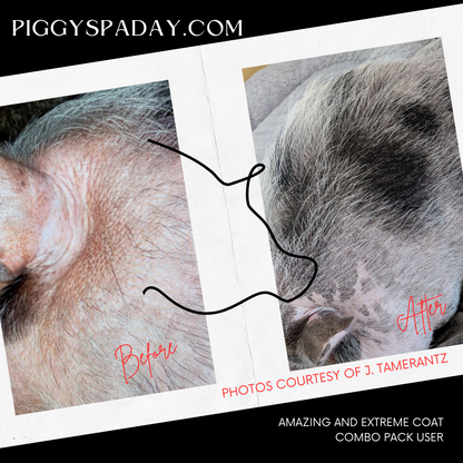 Combo pack: Amazing Coat & Extreme Coat supplements