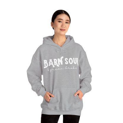 Barn Sour & Green Broke Hooded Sweatshirt