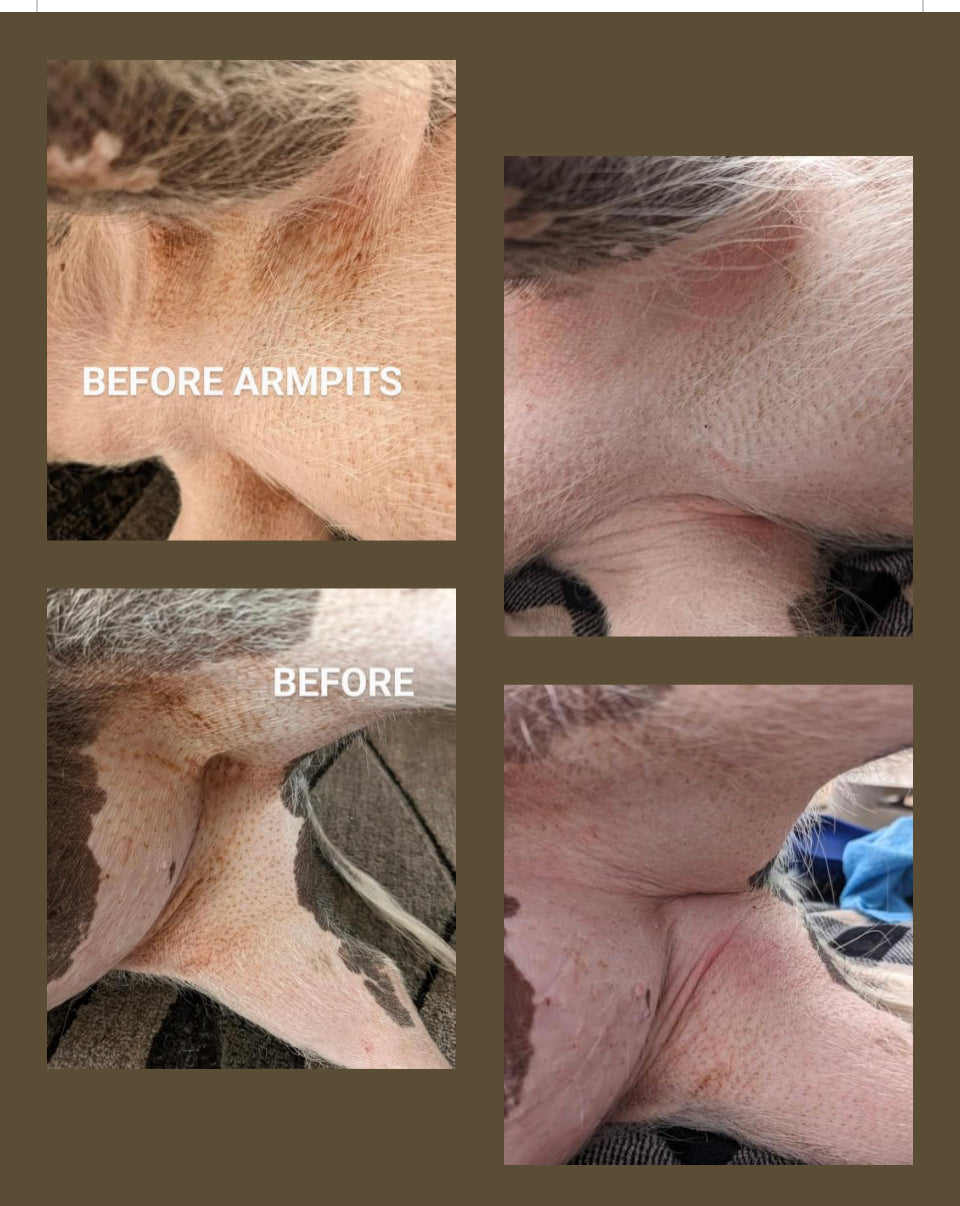 Squeal Sensations Pig Rust Remover Rags – Tyler Livestock Services