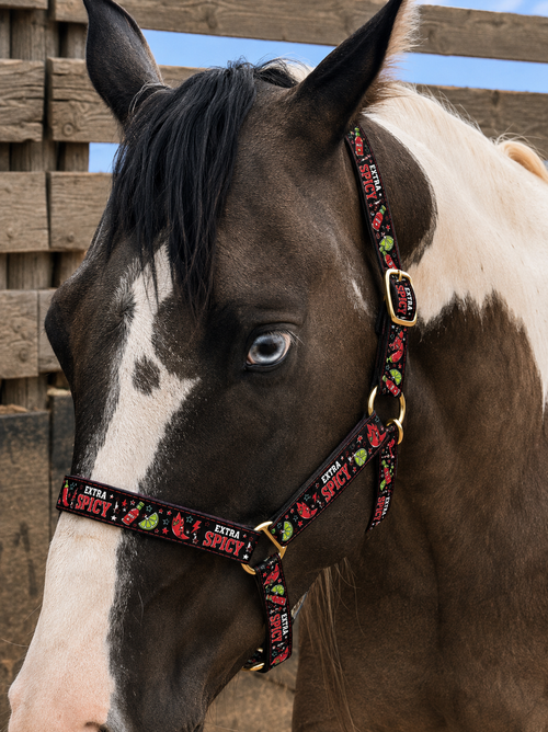Extra Spicy Horse Halter | Chili Pepper Print Nylon Halter | Funny Horse Tack | Adjustable Horse Halter | Black Red Lime Tack