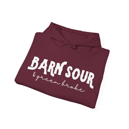 Barn Sour & Green Broke Hooded Sweatshirt