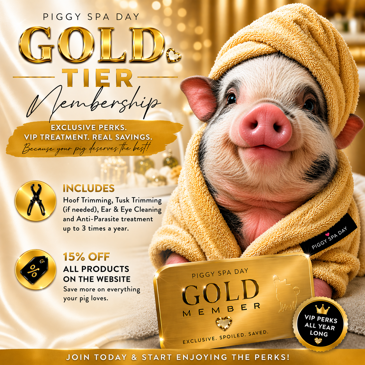 Gold Tier Piggy Spa Day Membership