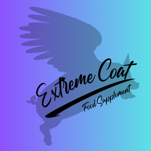 Oink cuisine: “Extreme coat” feed supplement