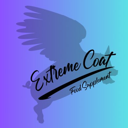 Oink cuisine: “Extreme coat” feed supplement