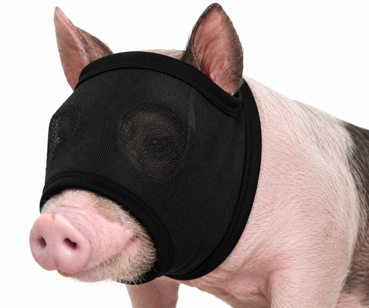 Mini Pig Fly Masks
