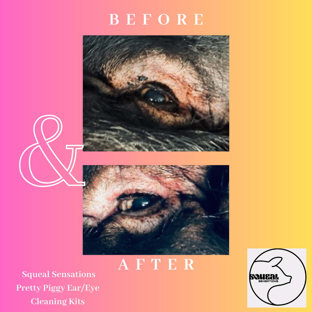 Squeal Sensations”Pretty Piggy”Ear & Eye Cleaning Kits