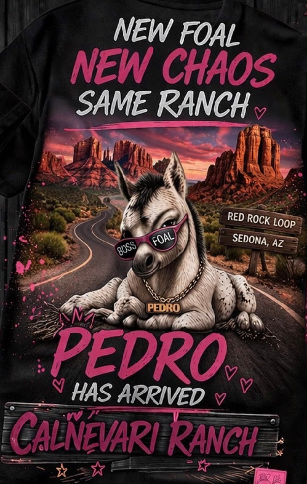 PEDRO HAS ARRIVED – LIMITED SEDONA TSHIRT DROP
