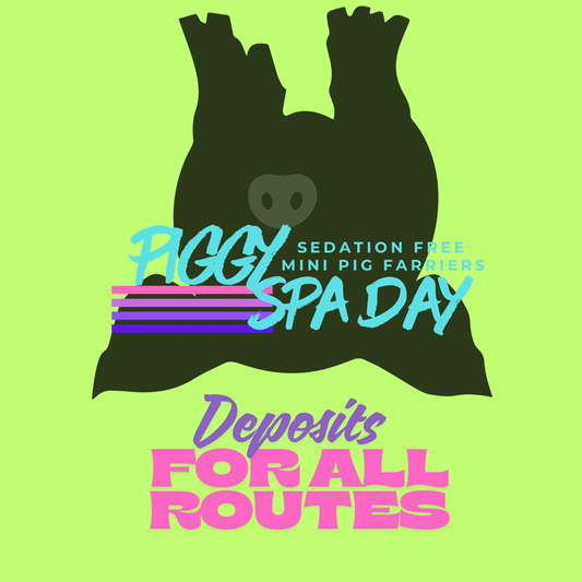 Deposits/Travel Fees for all routes