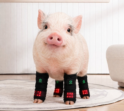 OinkBeam™ Red Light Therapy Wraps- preorder ships June 2026