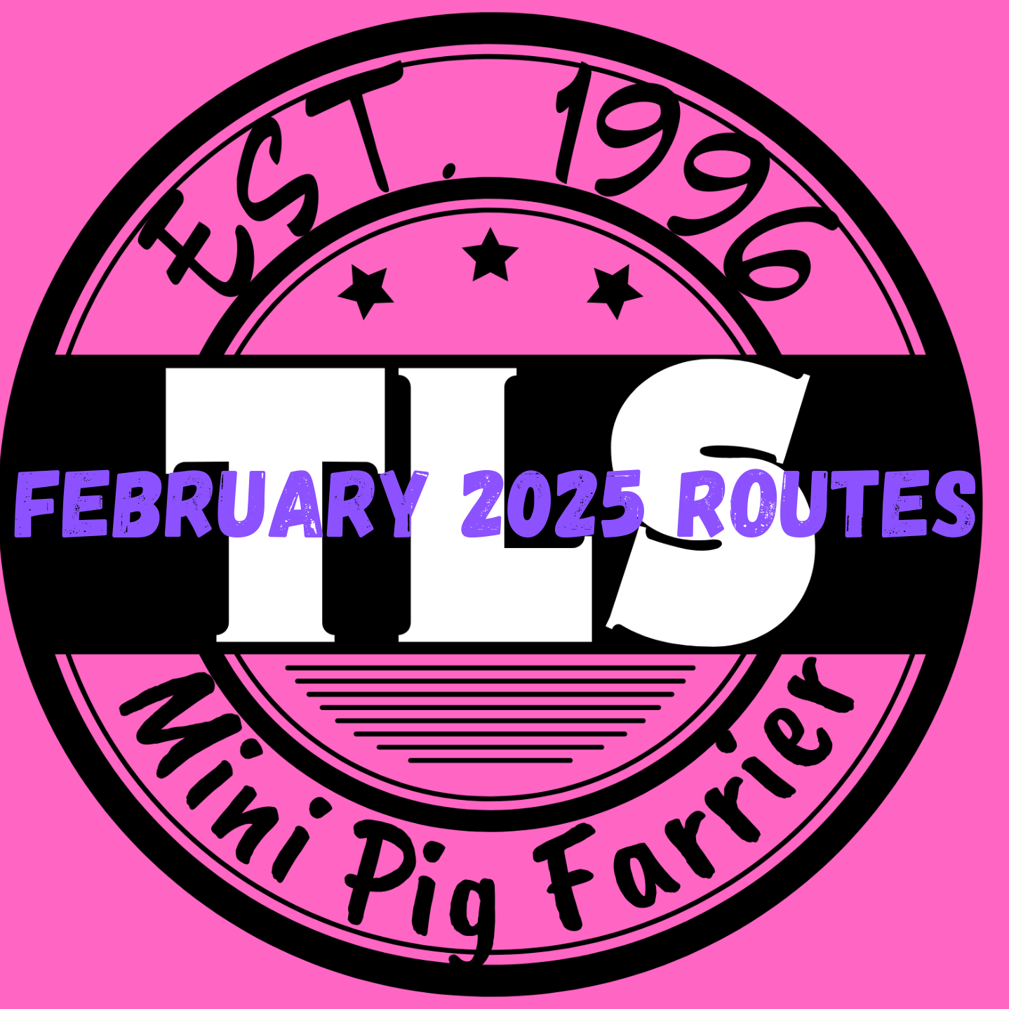 February 2025 Piggy Spa Days ( Scroll to Description for Prices and Packages)