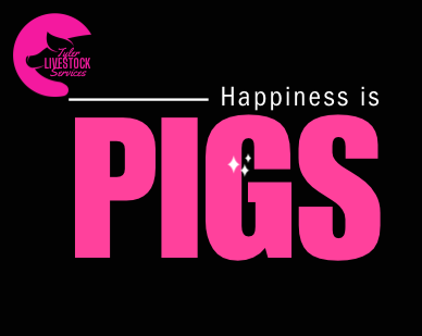 Happiness is pigs T-shirt or Hoodie