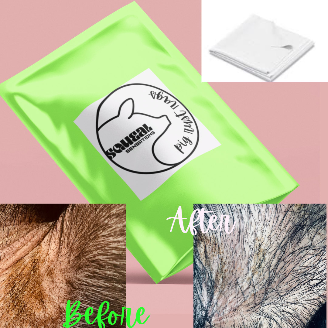 Squeal Sensations Pig Rust Remover Rags – Tyler Livestock Services