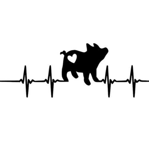 Pig Heartbeat Permanent Vinyl Sticker