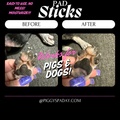 Squeal Sensations Pad Stick