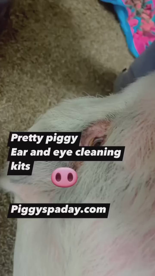 Squeal Sensations”Pretty Piggy”Ear & Eye Cleaning Kits